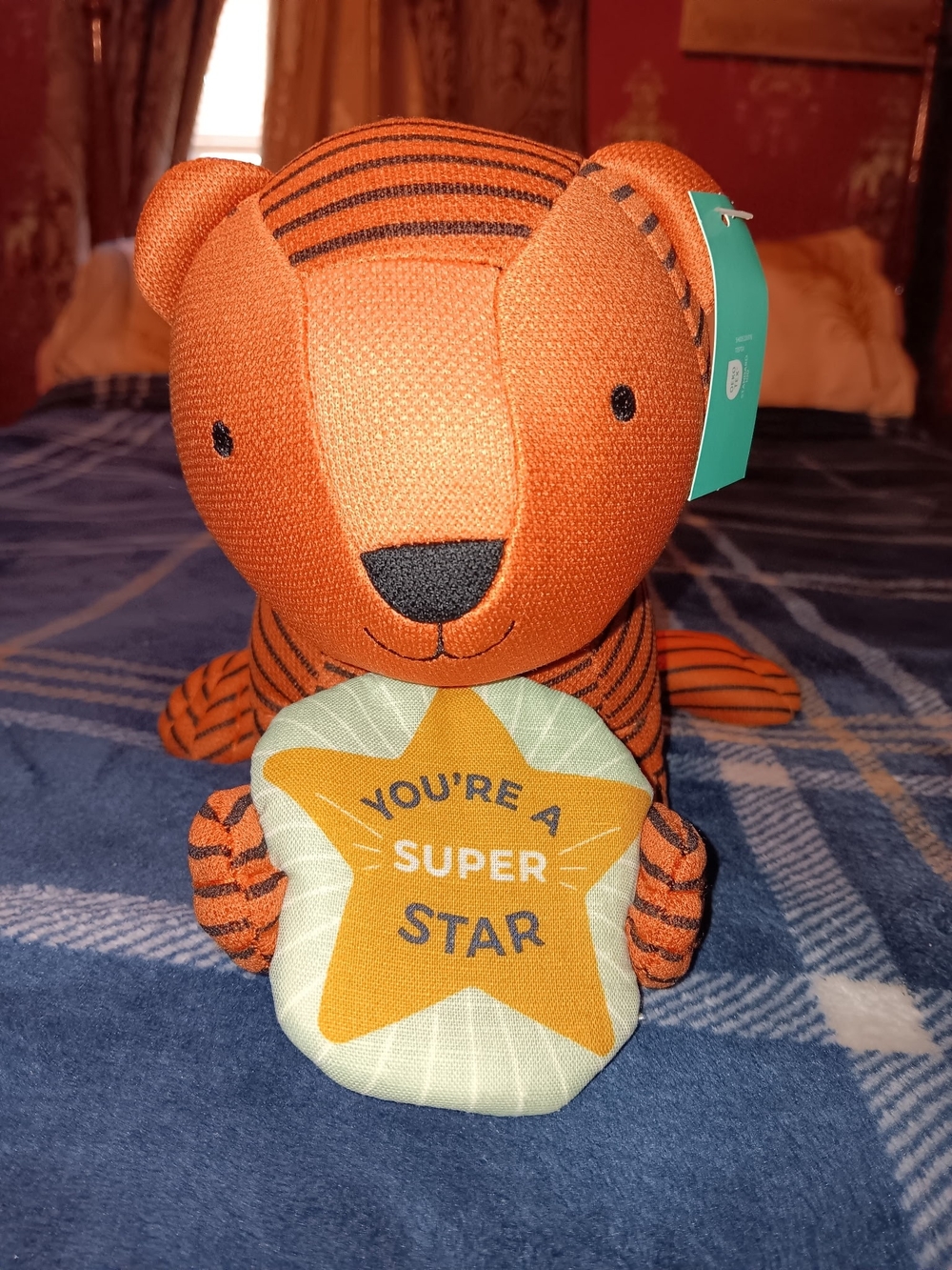 Pillowfort Orange and Black Striped Tiger Plush with Star Badge